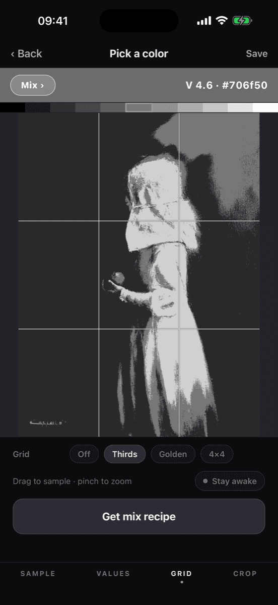 A composition grid laid over a reference image